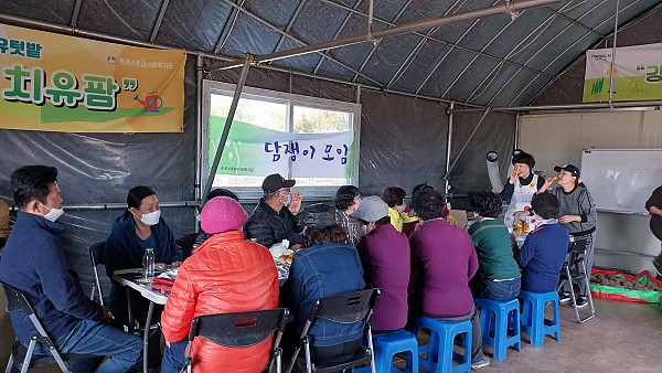 요리 활동 사진