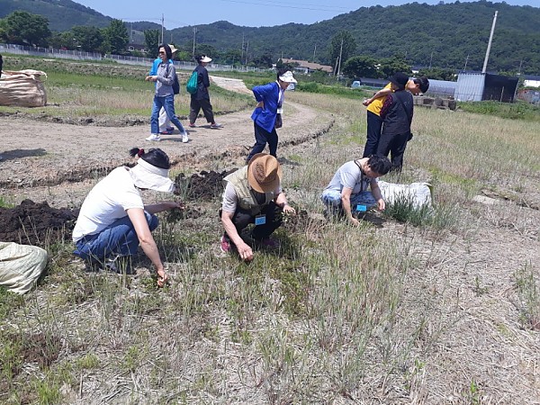 등촌해피팜 마을리더 농장체험  활동사진