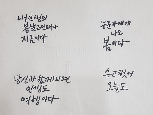 캘리그라피 글씨 사진