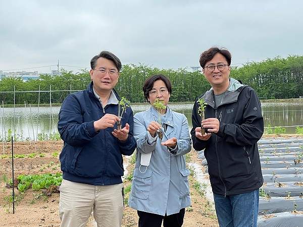 케나프(양삼) 심기 식재행사1