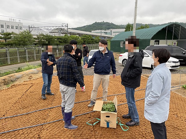 케나프(양삼) 심기 식재행사2