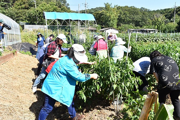 문화체험 사진