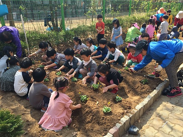 많은 아이들이 모여앉아 꽃을 심는 모습