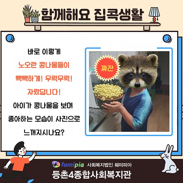 콩나물 키우기 키트 카드뉴스6