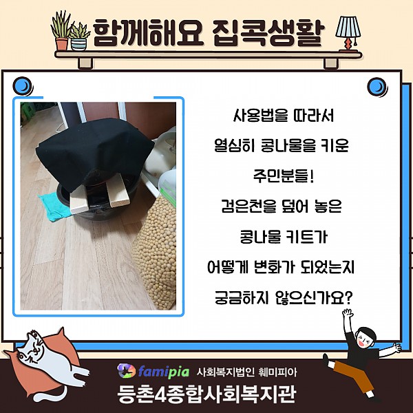 콩나물 키우기 키트 카드뉴스5