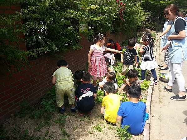 2015년 마을공동체 마을가꾸기 활동 사진 3