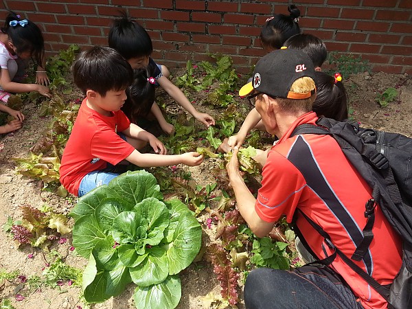 2015년 마을공동체 마을가꾸기 활동 사진 1